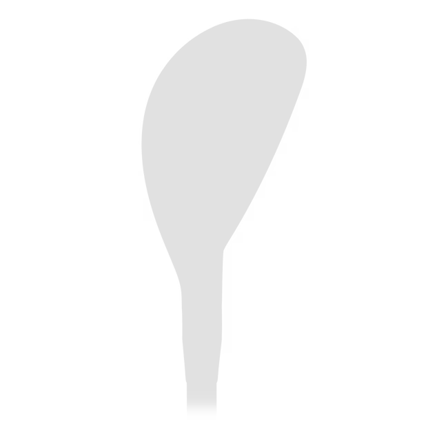 Hybrid Image